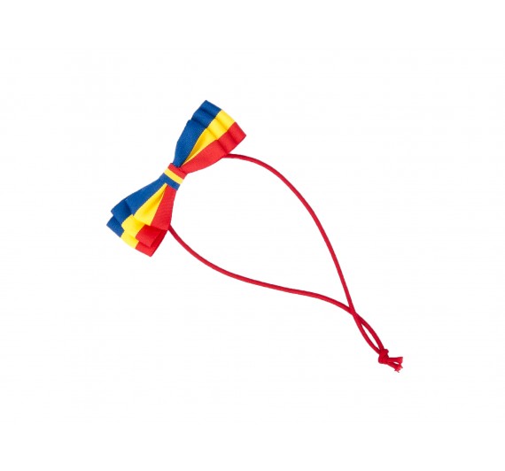 Papion Tricolor